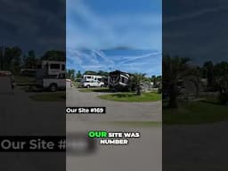 RV Living | HUGE Campsite & Amazing Front Yard! #shorts #shortsvideo #shortsfeed