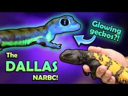 Attending the Dallas, TX NARBC! (April 2025)