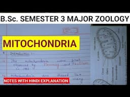 MITOCHONDRIA||BSC SEMESTER 3 ZOOLOGY NOTES #mitochondrianotes #zoologynotes #vbu #bbmku