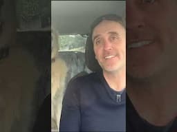 Quand ton chien t'empêche de travailler 😅 🎥🙅‍♂️