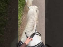 horse therapy 🤎 #outfitvsouting