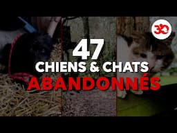 MACABRES découvertes dans une ferme ABANDONNÉE