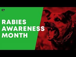 “Bitten by a Dog? Do THIS Immediately! (Especially if You Don’t Know Its Vaccine History!)”