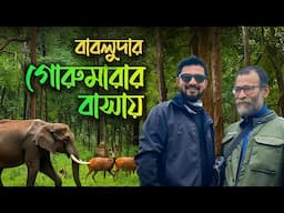 গোরুমারায় থাকার সেরা ঠিকানা | বাবলু দার Gorumara Nest | Kunal Bose