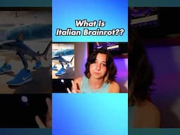 So You Guys Understand This? Because I Still Don’t #mebby #commentary #italianbrainrot
