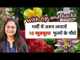 🔴TOP 10 BEAUTIFUL SUMMER FLOWER PLANTS/FLOWERING TIPS गर्मी के मौसम के  खूबसूरत पौधे#flowers #plants