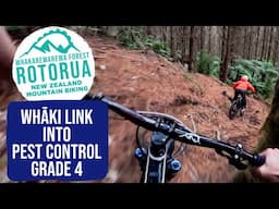 A Great Line Re-Opened! Whaki Link into Pest Control Trail, Rotorua