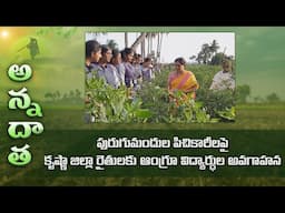 ANGRAU studens RAWEP program on pesticide sprayings | ETV Telugu