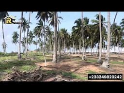 Awesome 6 Plots Of Beach Front Land Forsale || Come To Ghana 🇬🇭, Live In Ghana 🇬🇭 +233249820242