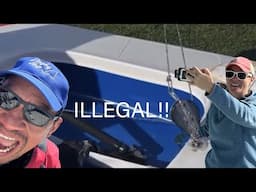 Illegal Sunfish Sailboat Rig EXPOSED