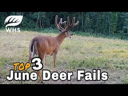 3 June Deer Hunting Fails