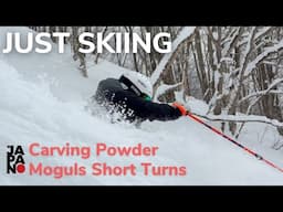 Just Skiing - Carving, Short Turns, Moguls, Powder