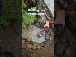 the building on our tropical pond comtinues...#homestead #garden #diy