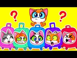Colorful Luggage Suitcase | X-Ray at the Airport | Robot Hotel Adventure | Useful Story | Purr-Purr