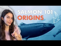 Where Does Salmon Come From? | Salmon 101: Origins Part 1