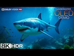 Amazing OLED Demo 8K Video ULTRA HD 120 FPS - Dolby Vision (8K HDR)