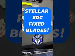 Stellar EDC Fixed Blades! #bladeshow #blade #edcknife #edcgear #edc