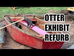 Otter Exhibit Refurb | What'd the otters destroy first?