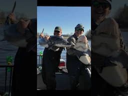 Double Trouble!  "Now what are we supposed to do?"#lakesturgeon #3riversfishingadventures