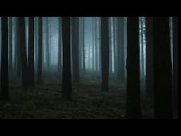 Lost in Pine Barrens & Jersey Devil Seen, Mysterious Events in Turkey Run State Park.