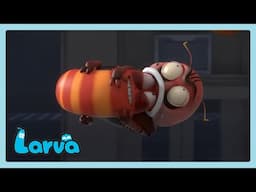 Intentando mantener el calor | LARVA | Wildbrain Niños