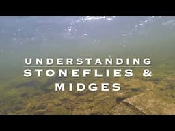 Understanding Stoneflies and Midges