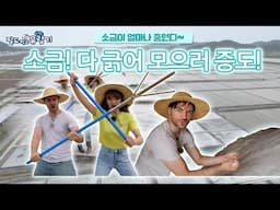 팔도 찍고 유람기 14회