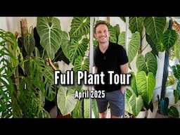 Houseplant Tour (showing you all of my plants)