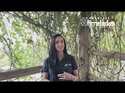 Mulheres Arretadas - DNA Pratagy 2025