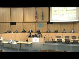 Seattle City Council 4/29/2025