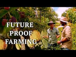 Amazing Syntropic Food Forest in just 3 Years! | Could this agriculture be the future of farming?