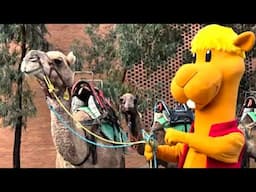 🐪Kazwa got to meet his camel friends at the Eidshow in Melbourne. 🎉