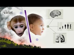 What an accidental study revealed about our health