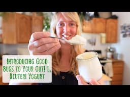Introducing Good Bugs to Your Gut! Easy Homemade L. Reuteri Yogurt & How I Store Starter When Busy