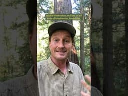 Managing Our Forests Better through Ecoforestry - a shift in perspective and values goes a long way.