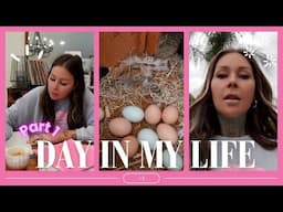 PT 1 Life Update ~ Dollar Store Haul ~ New Hair Brand Scents! | KristenxLeanne