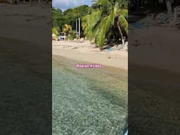 Roatan Honduras #roatan #hondurastravel #caribbean #sea #islandvibes #paradise #beach