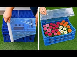 Build Your Own Tiny Greenhouse: DIY Budget-Friendly Guide