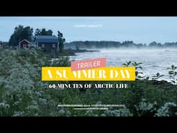 Trailer | A summer day - 60 minutes of Arctic life