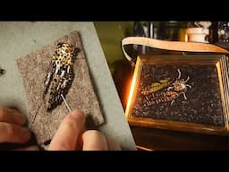 Put a Bug on It // Cicada Meets Vintage Handbag