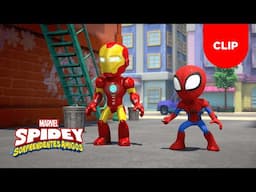 Spidey y sus Sorprendentes Amigos | Clip | El Caos de Black Cat