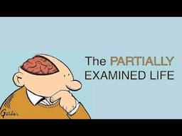 Partially Examined Life #365: Scheler on Love (Part One)