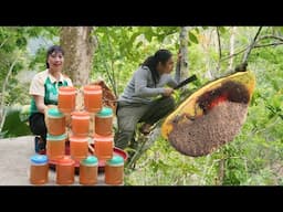 harvesting giant beehives, selling honey at market, farm life, SURVIVAL ALONE