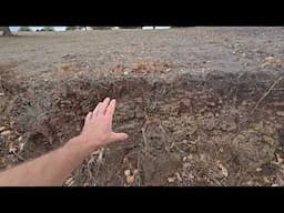 Soil formation