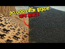 😨 ৩০,০০০ বেঁজি ছাড়ল সরকার! তারপর যা ঘটল, গায়ে কাঁটা দিবে! 😱 30,000 Mongooses Released! 😵