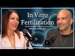 In Vitro Fertilization: The IVF Process Start to Finish | Paula Amato, M.D.