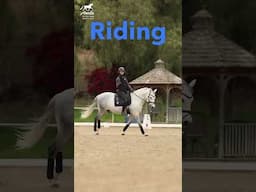 🔥 NEW 5-Day Online Riding Bootcamp!🔥