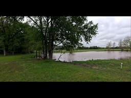 Spring 2025 Garden Tour and Property Tour
