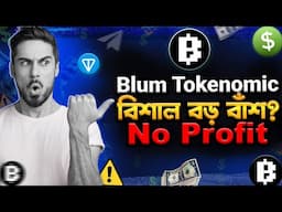 Blum Tokenomic Revealed! 6 Month Vesting!