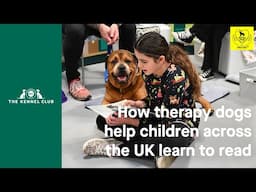 The Kennel Club's Bark & Read Initiative at Crufts 2025
